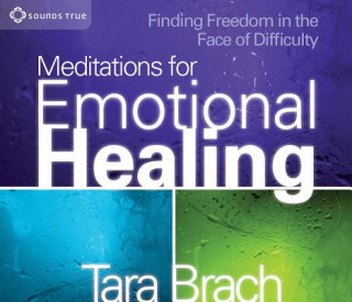 Аудио Meditations for Emotional Healing Tara Brach