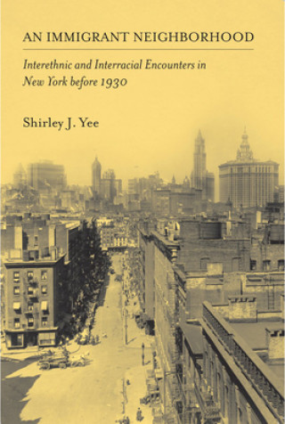 Buch Immigrant Neighborhood Shirley J. Yee