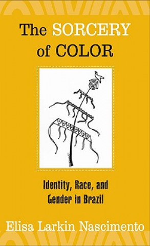 Könyv Sorcery of Color Elisa Larkin Nascimento