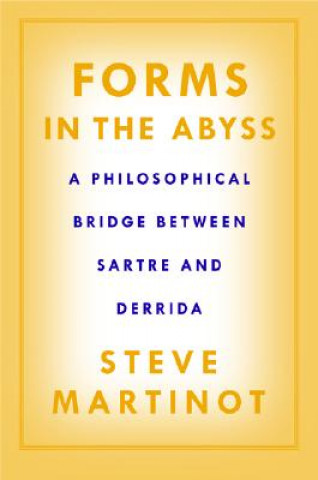 Kniha Forms in the Abyss Steve Martinot