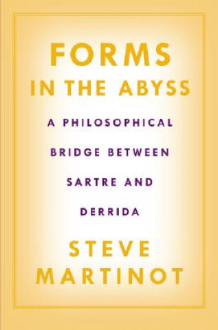 Kniha Forms in the Abyss Steve Martinot