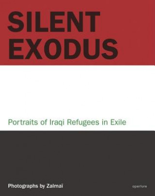 Kniha Zalmai: Silent Exodus Zalmai