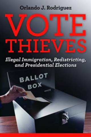 Libro Vote Thieves Orlando Rodriguez