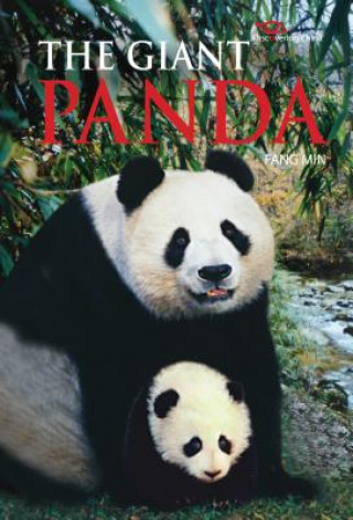 Carte Giant Panda Fang Min