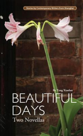 Kniha Beautiful Days Teng Xiaolan