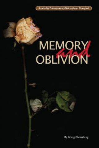 Boek Memory and Oblivion Wang Zhousheng