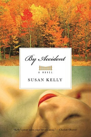 Carte By Accident Susan Kelly