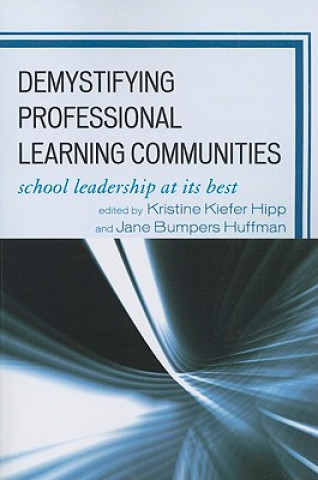 Kniha Demystifying Professional Learning Communities Hipp