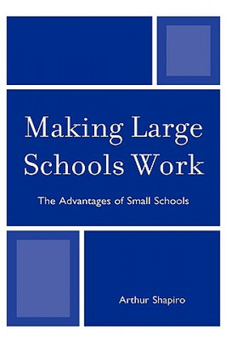 Kniha Making Large Schools Work Arthur Shapiro