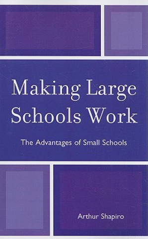 Kniha Making Large Schools Work Arthur Shapiro
