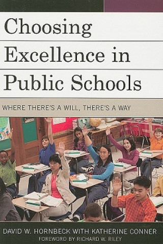 Könyv Choosing Excellence in Public Schools David W. Hornbeck