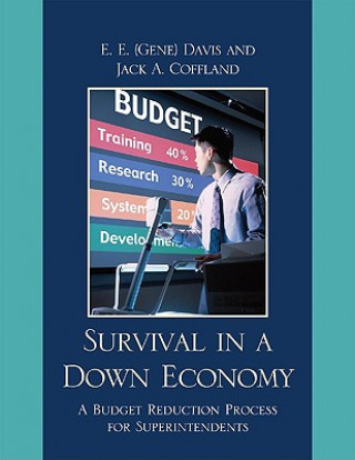 Kniha Survival in a Down Economy E. E. Davis