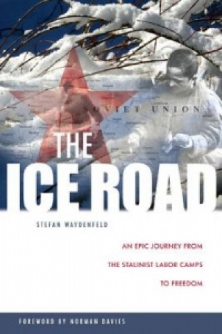 Kniha Ice Road Stefan W. Waydenfeld