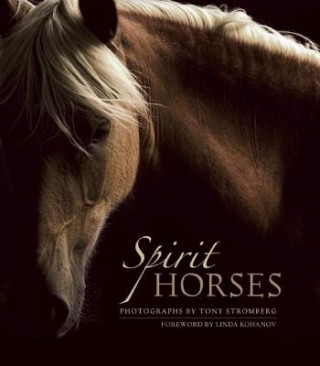 Carte Spirit Horses Tony Stromberg