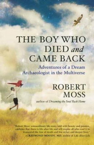 Kniha Boy Who Died and Came Back Robert Moss