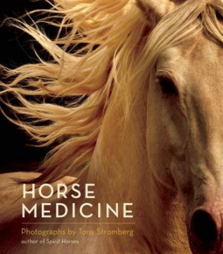 Book Horse Medicine Tony Stromberg