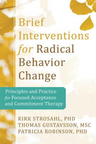 Kniha Brief Interventions for Radical Behavior Change Kirk Strosahl