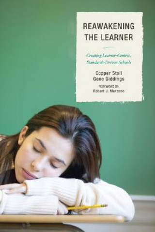 Buch Re-Awakening the Learner Copper Stoll