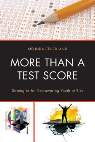 Knjiga More than a Test Score Melinda Strickland