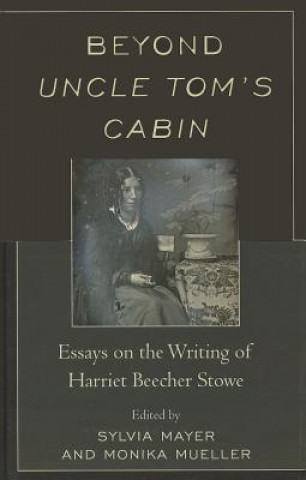 Kniha Beyond Uncle Tom's Cabin Sylvia Mayer