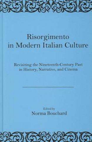 Könyv Risorgimento in Modern Italian Culture Norma Bouchard