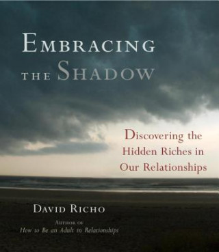 Audio Embracing the Shadow David Richo