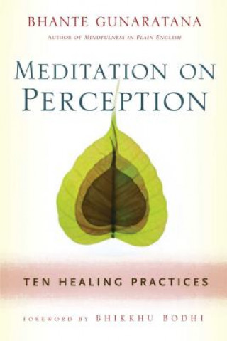 Carte Meditation on Perception Henepola Gunaratana