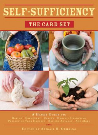 Spiel/Spielzeug Self-sufficiency: The Card Set Abigail R. Gehring