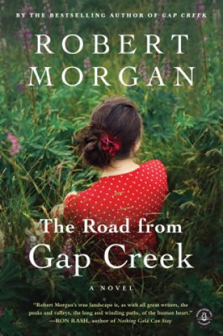 Kniha Road from Gap Creek Robert Morgan