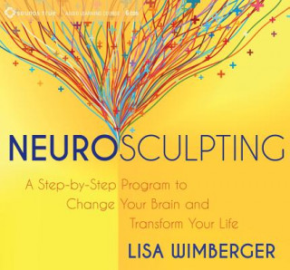 Audio Neurosculpting Lisa Wimberger