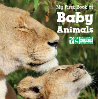 Книга My First Book of Baby Animals (National Wildlife Federation) National Wildlife Foundation