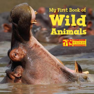 Könyv My First Book of Wild Animals National Wildlife Foundation