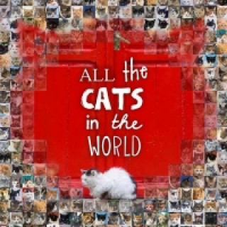 Książka All the Cats in the World Jesse Hunter