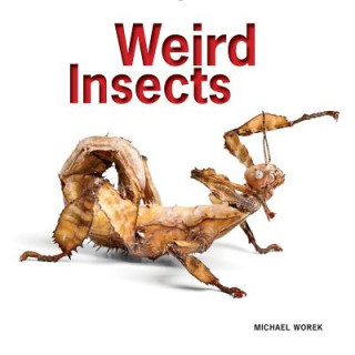 Carte Weird Insects Michael Worek