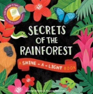 Kniha Secrets of the Rainforest Carron Brown