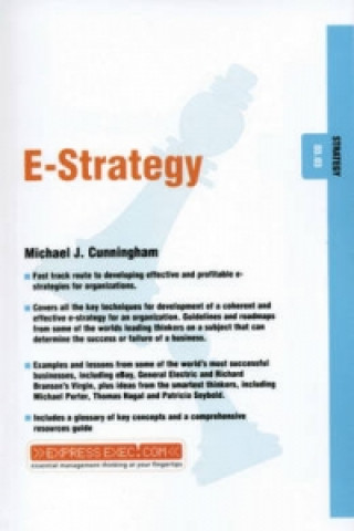 Kniha E-Strategy Michael J. Cunningham