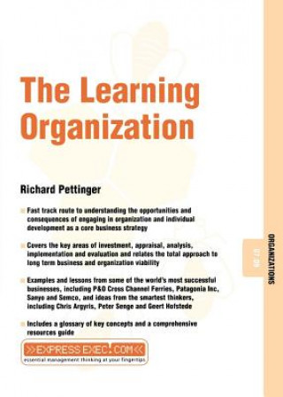 Knjiga Learning Organization Richard Pettinger