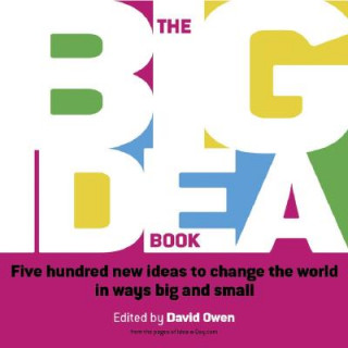 Kniha Big Idea Book David Owen