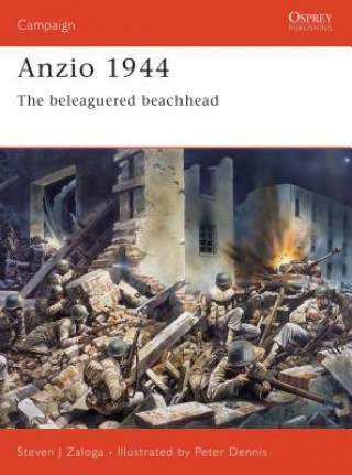 Carte Anzio 1944 Steven J. Zaloga