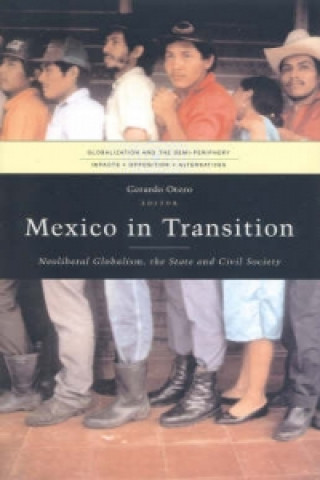 Carte Mexico in Transition 