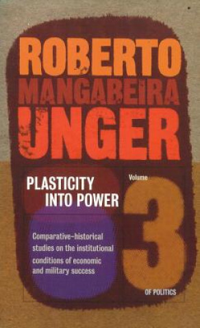 Buch Social Theory Roberto Mangabeira Unger