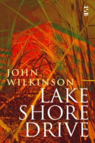 Knjiga Lake Shore Drive John Wilkinson