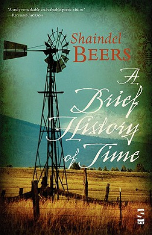 Kniha Brief History of Time Shaindel Beers