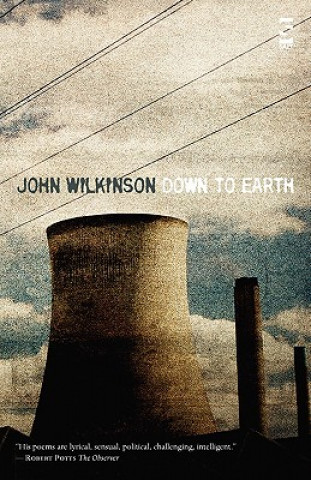 Book Down to Earth John Wilkinson