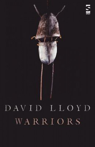 Książka Warriors David Lloyd