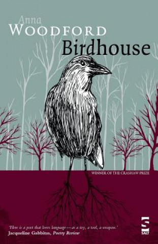 Kniha Birdhouse Anna Woodford