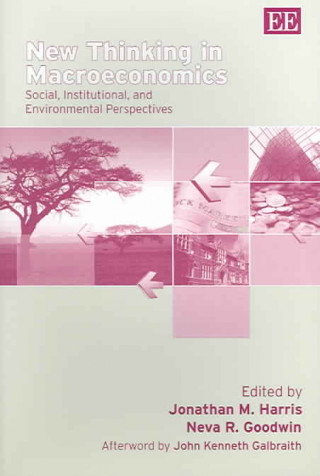 Carte New Thinking in Macroeconomics - Social, Institutional, and Environmental Perspectives 