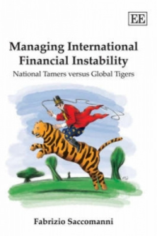 Kniha Managing International Financial Instability Fabrizio Saccomanni