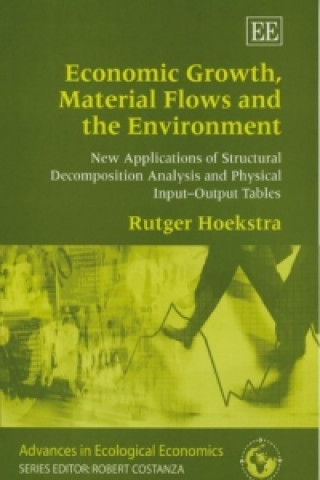 Buch Economic Growth, Material Flows and the Environment Rutger Hoekstra