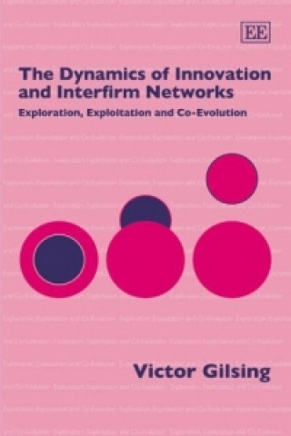 Kniha Dynamics of Innovation and Interfirm Networks Victor Gilsing